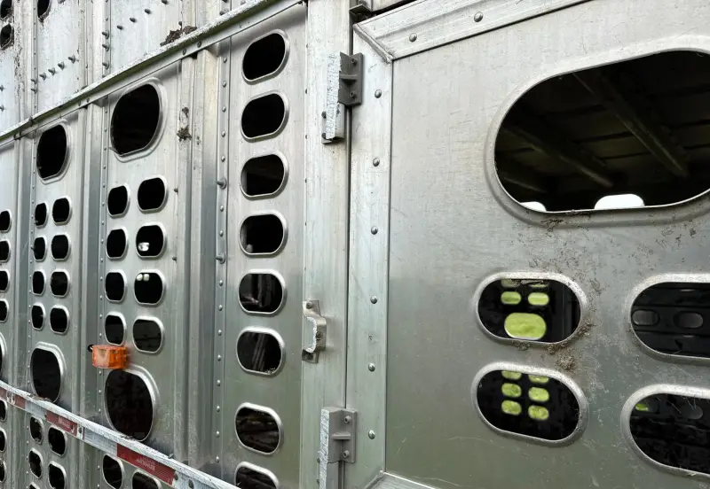 2015 Wilson Trailer Co. PSDCL-402 photo 30