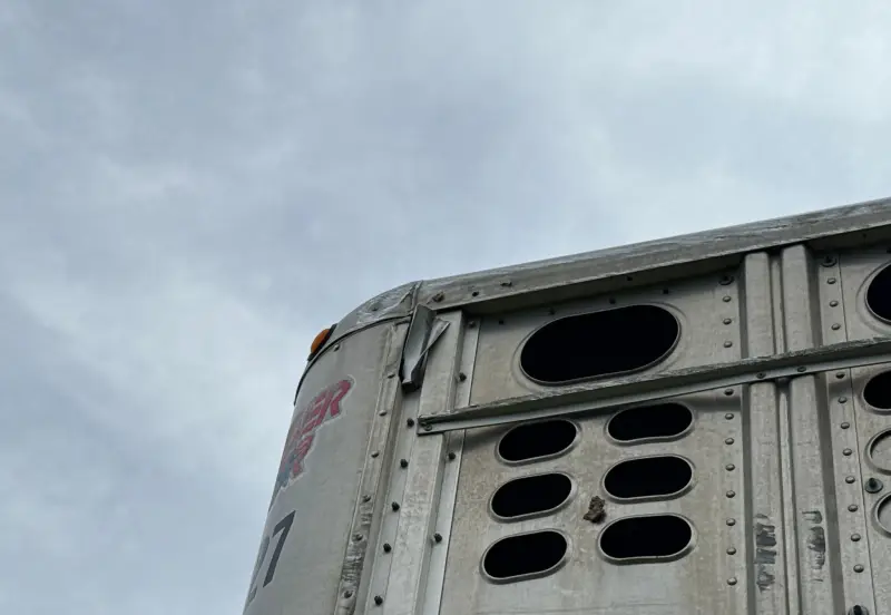 2015 Wilson Trailer Co. PSDCL-402 photo 20