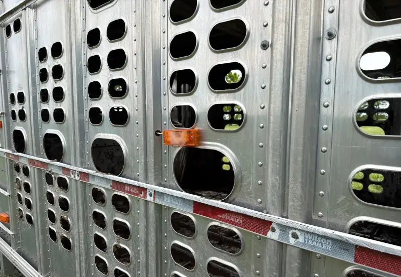 2015 Wilson Trailer Co. PSDCL-402 photo 25
