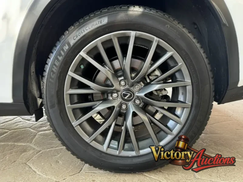 2017 Lexus RX 350 photo 15