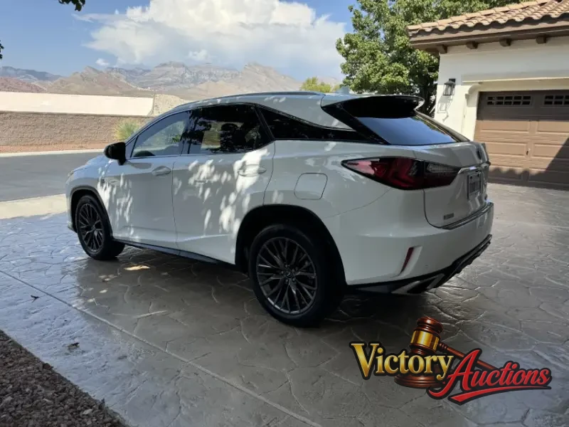 2017 Lexus RX 350 photo 25